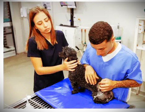 Non-Core (Optional) Vaccines