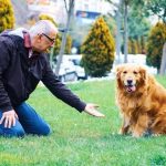 Dog training and behavior Featured image