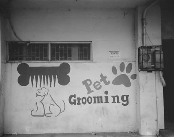 Hygiene and Grooming Practices