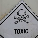 Toxic foods to avoid Featured image