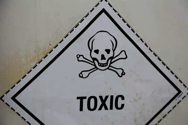 Toxic foods to avoid Featured image