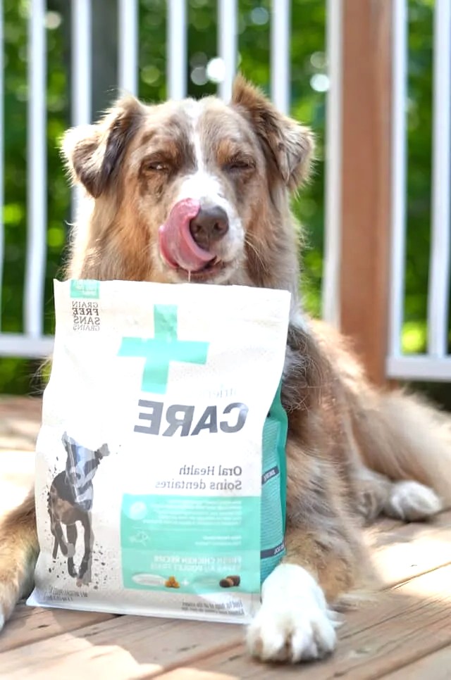 Supplements for pets