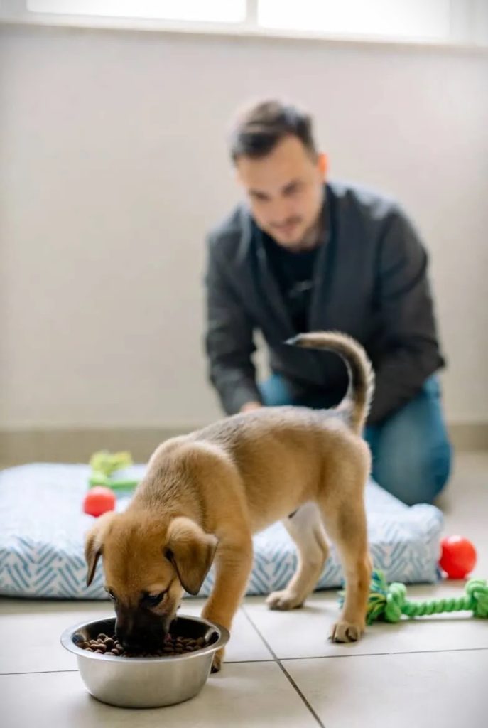 Nutrition and Feeding