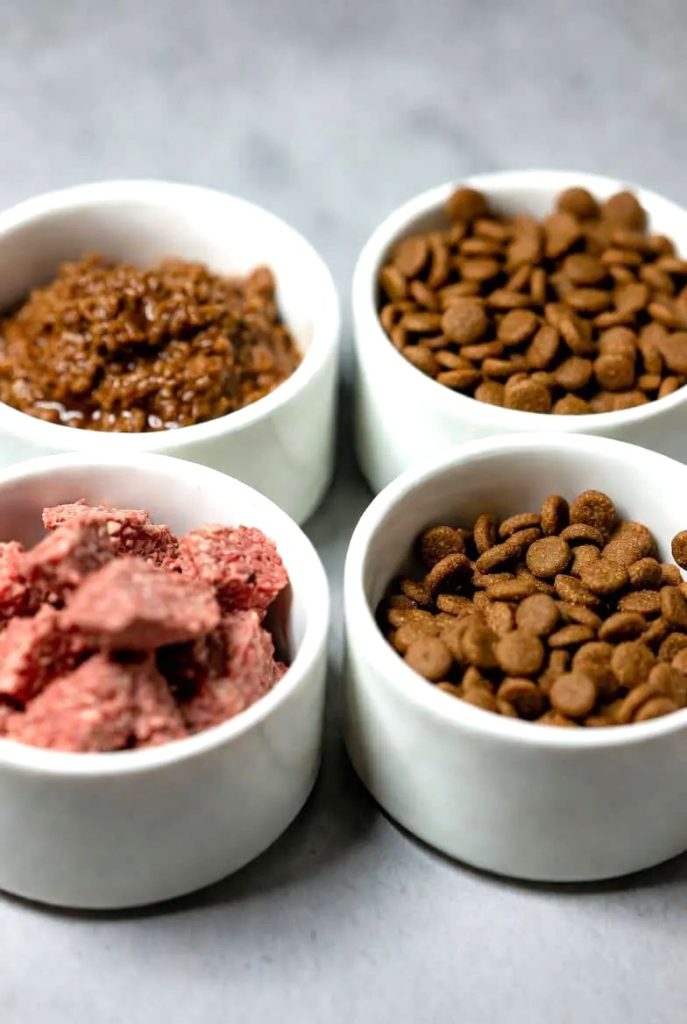 Benefits and Drawbacks of Each Food Type