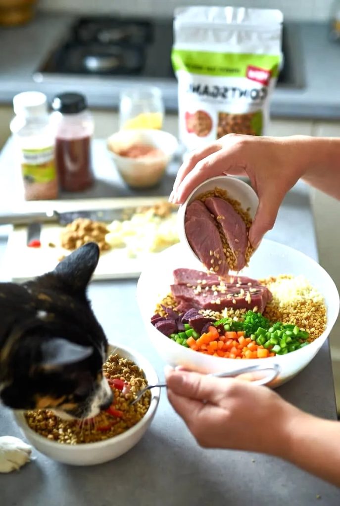 Essential Nutrients Every Home Made Pet Food Recipe Must Include