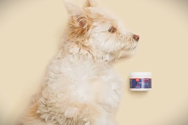 Symptoms of Toxic Food Consumption