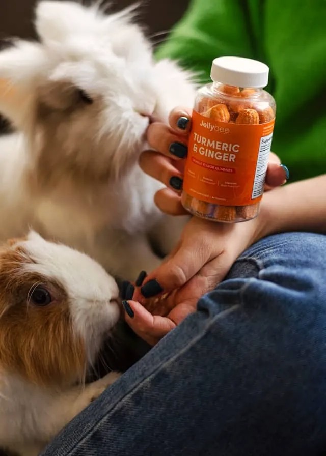 Common Types of Supplements for Pets