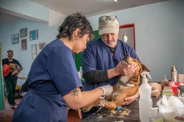 Vaccinations and Preventive Care