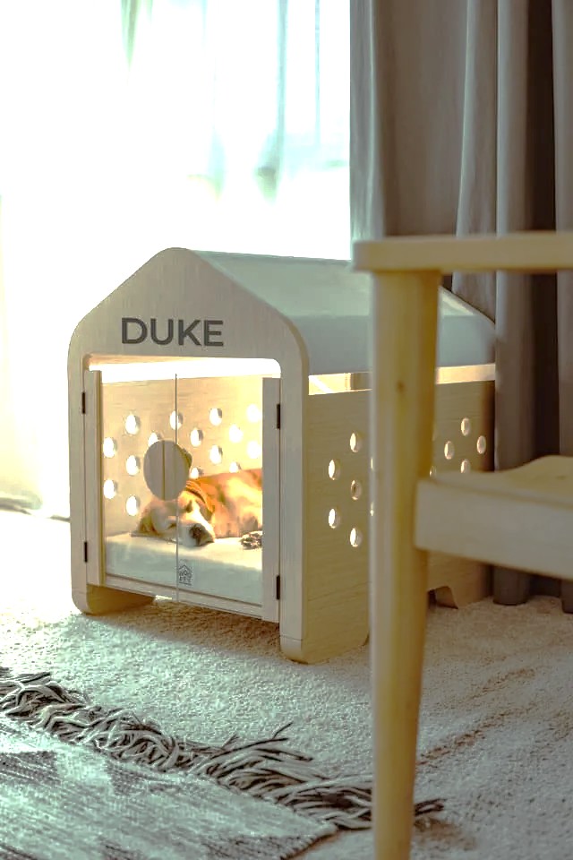 Preparing Your Home for a Puppy