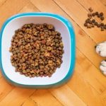 Home made pet food recipes Featured image
