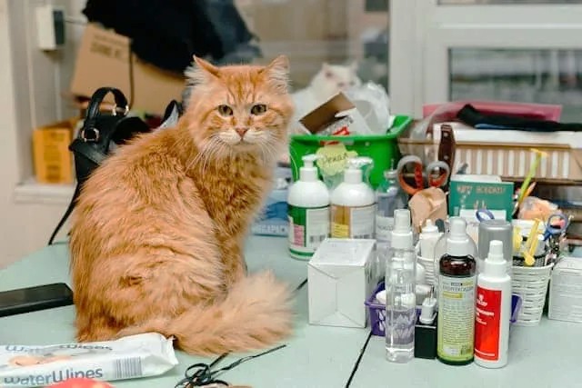 Natural and Home Remedies