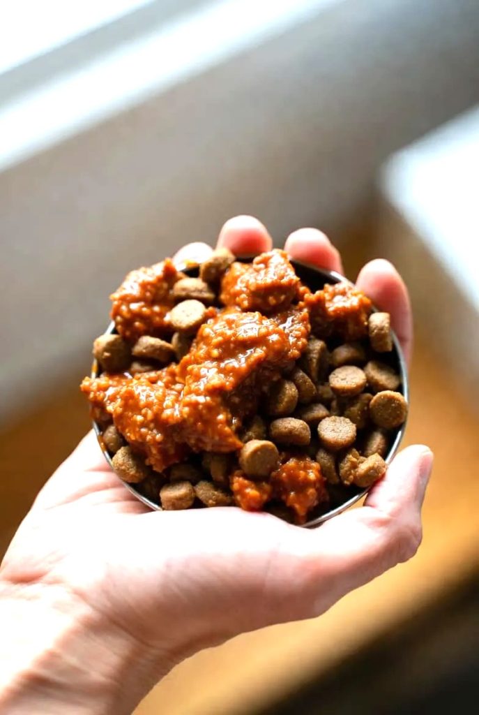 Signs You Are Overfeeding or Underfeeding