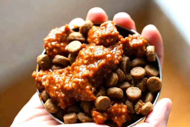 Signs You Are Overfeeding or Underfeeding