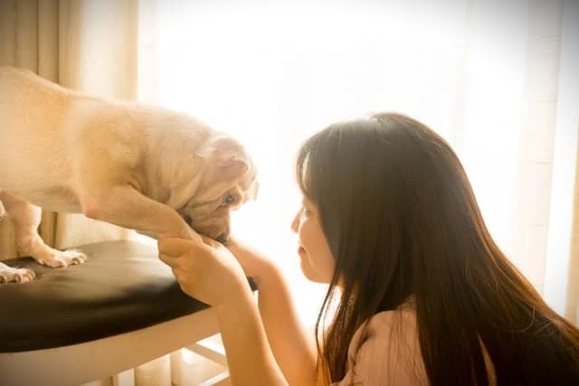 How Much Should You Feed Your Cat Daily?